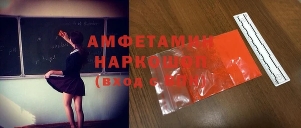СК Алексин