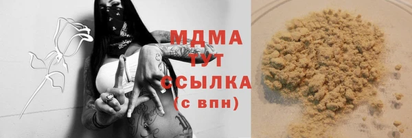 СК Алексин