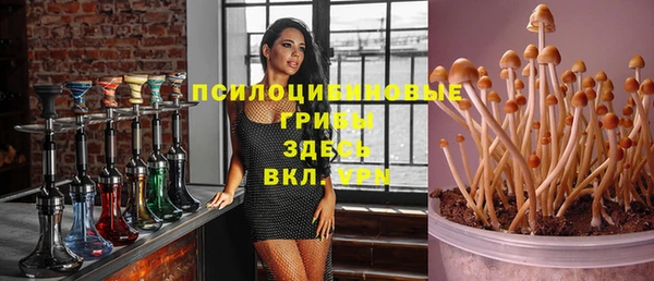 СК Алексин