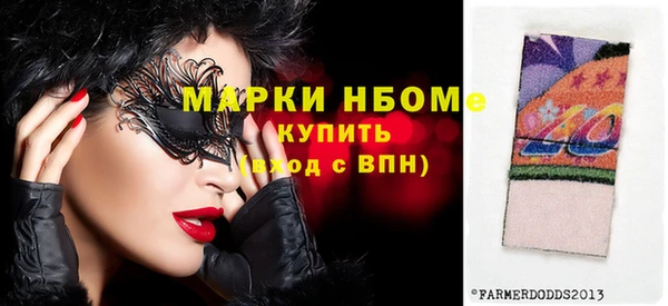 СК Алексин