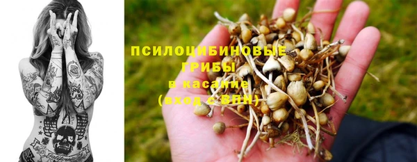 герыч Алзамай
